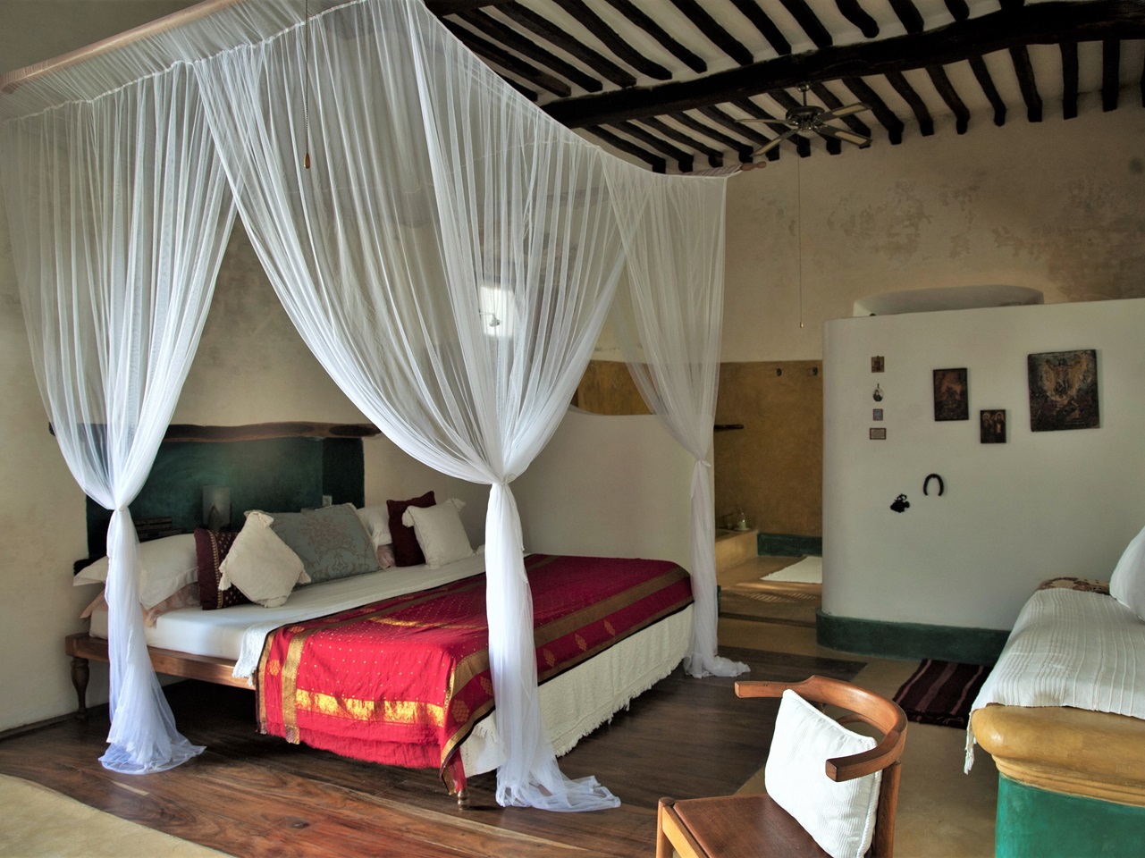 Aloe Ciliaris Fantasy Suite